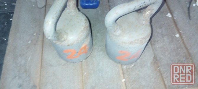 набор гирь 2 штуки по 24 кг Донецк - изображение 1