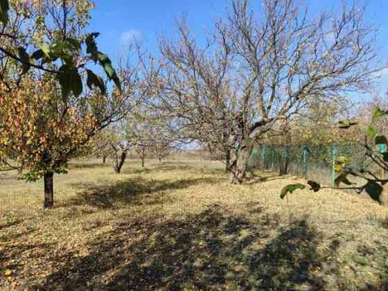 Продажа земельного участка 18 соток! п. Доля, Мариупольская трасса Мариуполь