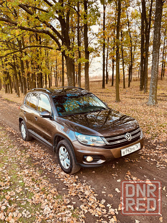 VW Tiguan (Тигуан) Шахтерск - изображение 2