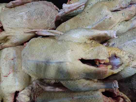 Домашняя вкусная уточка и гусь Донецк