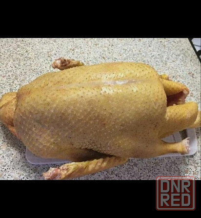 Домашняя вкусная уточка и гусь Донецк - изображение 3