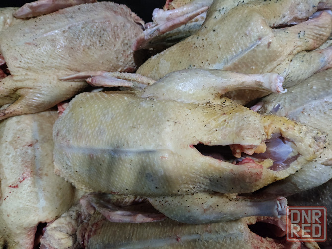 Домашняя вкусная уточка и гусь Донецк - изображение 4