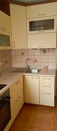 Котята Донецк