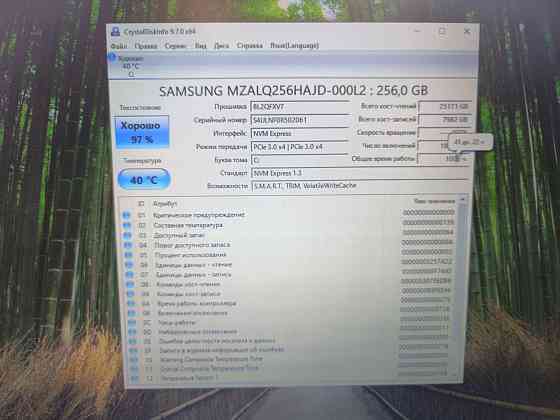 Thunderobot 911 Plus G3 XD/17.3-144гц/ Intel Core i5-13420H/16 Гб DDR5/SSD M2 NWMe-512/RTX 4050 Донецк