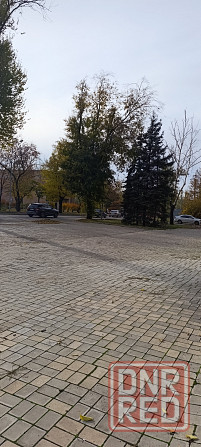 Сдам в Аренду Автосалон. Площадь 360 м².Центр. Ремонт. Большая площадка. Донецк - изображение 8