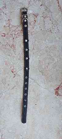 найден золотистый спаниэль-ретривер. Донецк