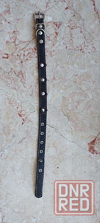 найден золотистый спаниэль-ретривер. Донецк - изображение 6