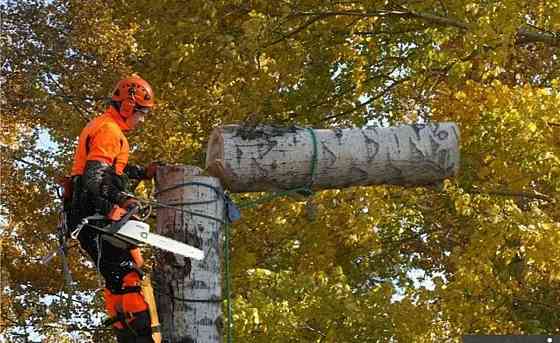 Спил Деревьев Донецк