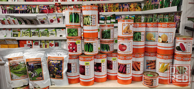 Семена овощей Луганск - изображение 2