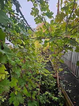 Продается Дом Макеевка