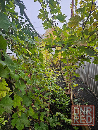 Продается Дом Макеевка - изображение 5