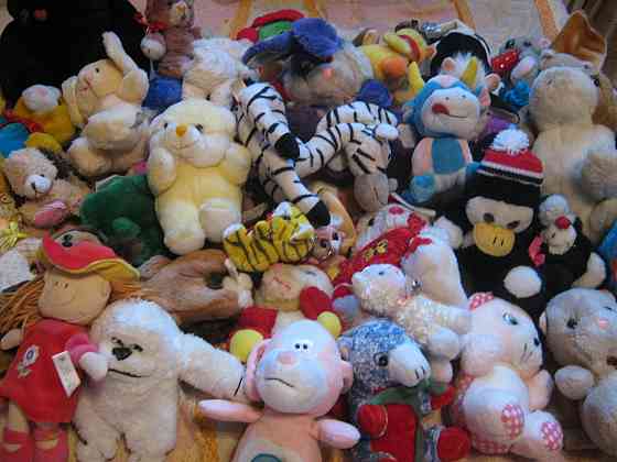 Зверьки лохматые Донецк