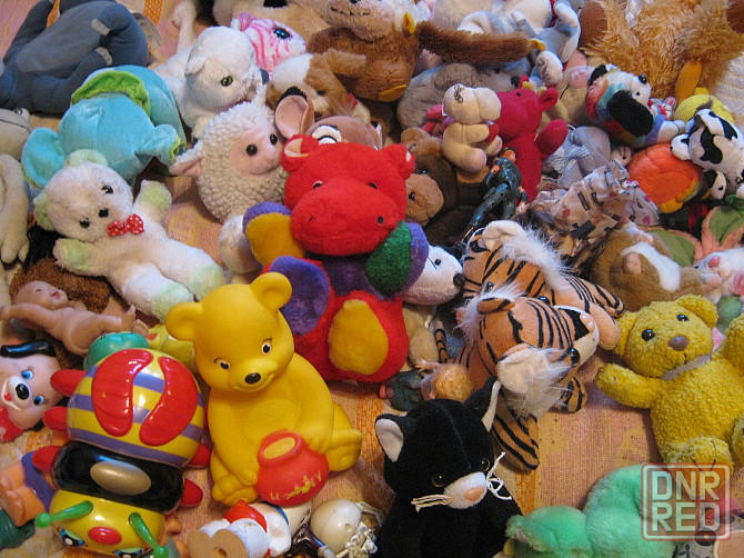 Зверьки лохматые Донецк - изображение 2