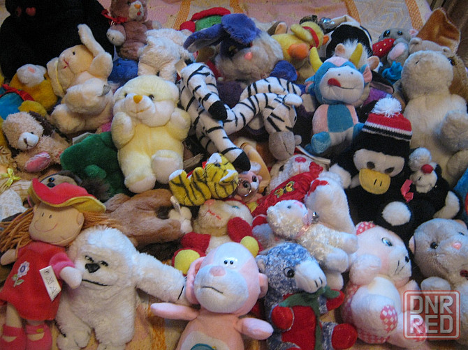 Зверьки лохматые Донецк - изображение 1