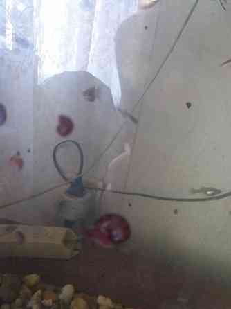 Продам улитки катушки Донецк