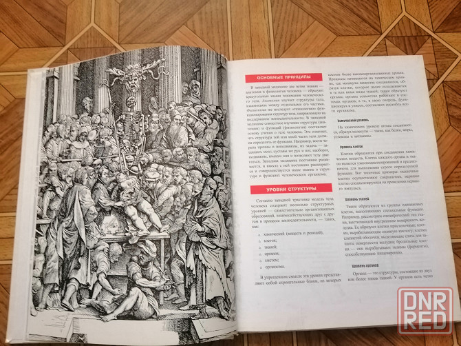 Книга м. тедески "анатомия для исцеления и боевых искусств " Донецк - изображение 8