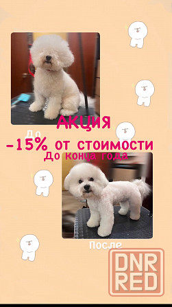 Стрижка собак Донецк - изображение 1