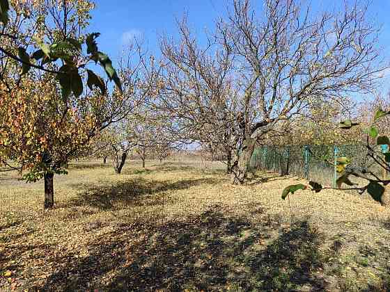 Земельный участок в п. Доля Донецк