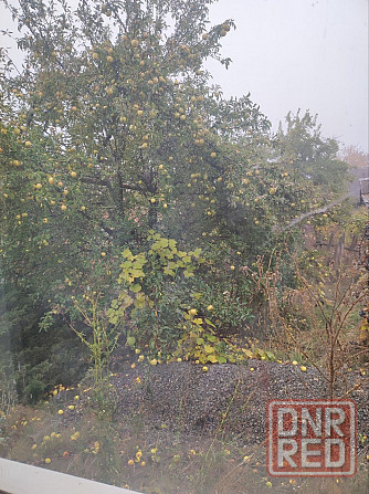 Продам жилой дом в Куйбышевском р-не Донецка. Азотный. Донецк - изображение 7