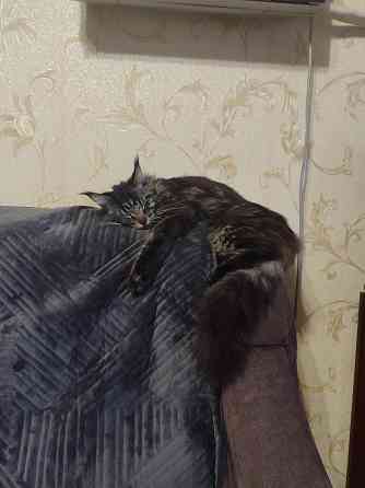 Мейн кун Донецк