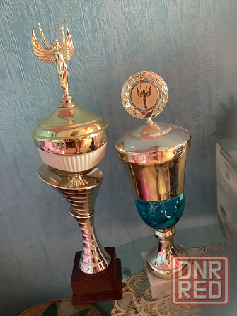 Для любителей спорта футболки, костюмы, куртка Макеевка - изображение 6