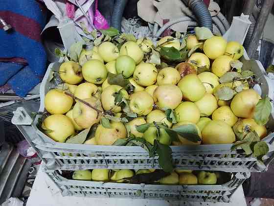 Яблоки Донецк