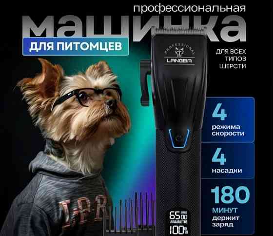 Машинка для животных. Донецк