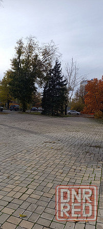 Сдам Автосалон 360 м² в Центре. Ремонт. Большая площадка. Парковка. Первая линия. Донецк - изображение 6