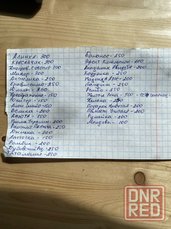 черенки винограда Донецк - изображение 1