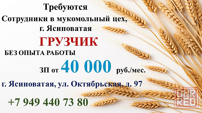 Грузчик Ясиноватая - изображение 1