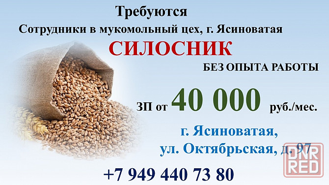 Силосник Ясиноватая - изображение 1