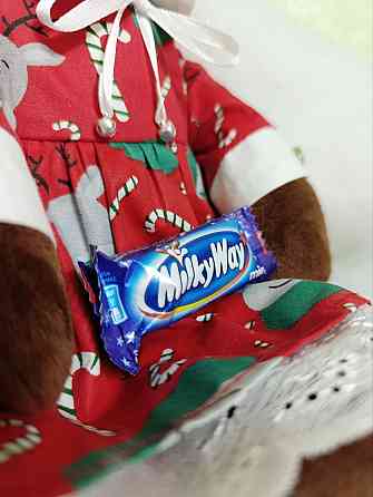 Олененок Норди Луганск