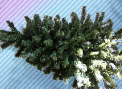 Рождественская ёлка Донецк