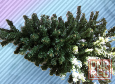 Рождественская ёлка Донецк - изображение 1