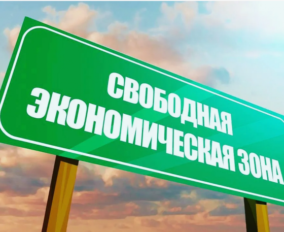 Включение фирмы в реестр Участников свободной экономической зоны (льготы по налогам) Донецк