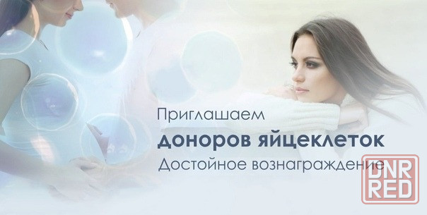 Требуются доноры ооцитов Донецк - изображение 1