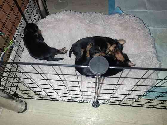 Йорики Донецк