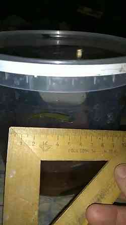 Продаются пиявки медицинские средние Макеевка