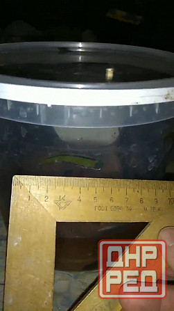 Продаются пиявки медицинские средние Макеевка - изображение 3