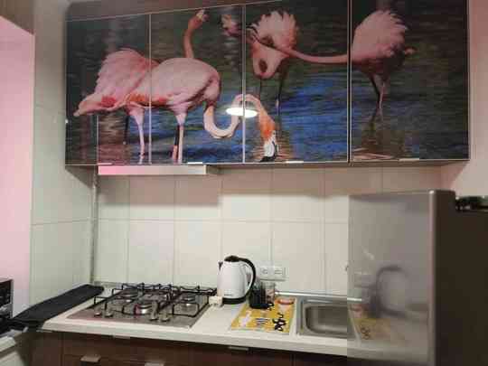 Аренда 2-х комнатной квартиры в Ленинском районе, ул Куприна Донецк