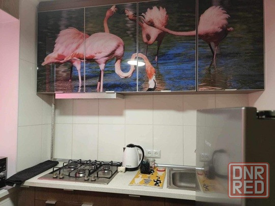 Аренда 2-х комнатной квартиры в Ленинском районе, ул Куприна Донецк - изображение 2