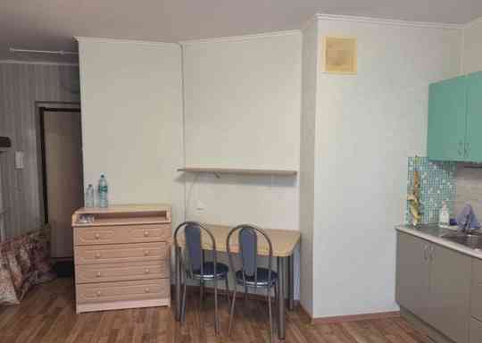 Сдается: Квартира-студия Этаж: 7/9 Район: Калининский Район Донецк