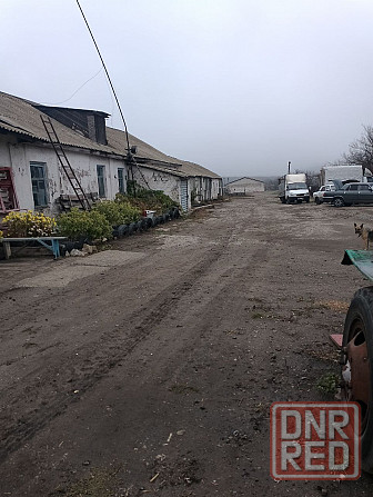 Продам действующее сельхоз предприятие Макеевка - изображение 4