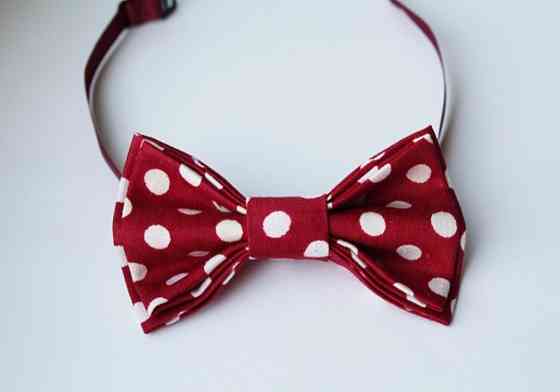 Бабочка для мальчика Донецк