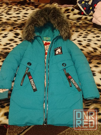 Пухофик зимний Макеевка - изображение 1