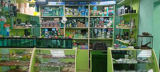 Рыбки аквариумные Донецк