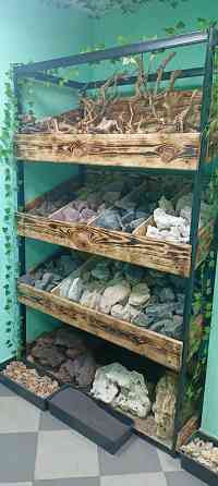 Рыбки аквариумные Донецк