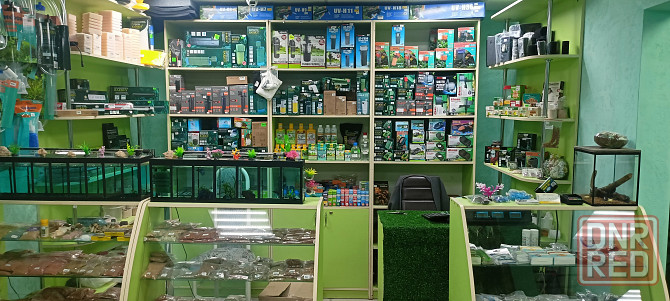 Рыбки аквариумные Донецк - изображение 4