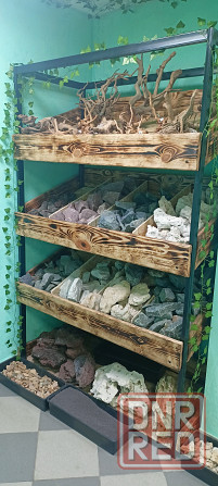 Рыбки аквариумные Донецк - изображение 2