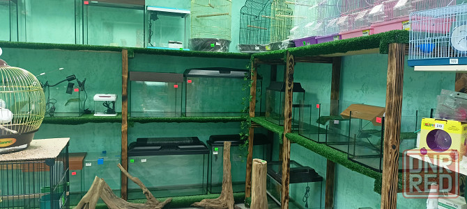 Рыбки аквариумные Донецк - изображение 7